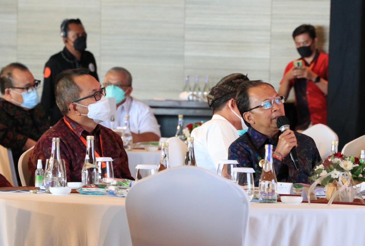 Gubernur Minta Pusat Keluarkan Kebijakan Spesifik Upaya Pemulihan Ekonomi Bali